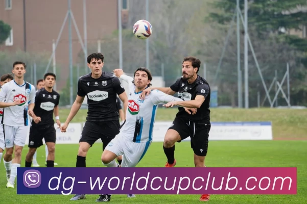 世界杯投注平台生态图